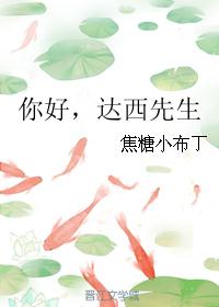 达西先生无防盗