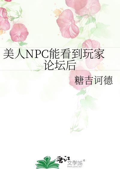 美人NPC能看到玩家论坛后小说