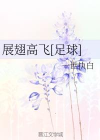 展翅高飞[足球]