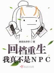 我真不是npc飞卢