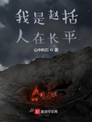 我是赵括人在长平起点