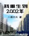 我重生到2002年TXT下载网盘