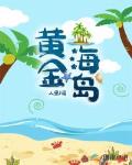 黄金海岛顶点