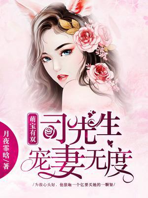 萌宝有双司先生宠妻无度完整版