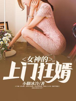 无敌佳婿无敌佳婿