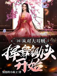 三国:从对大耳贼挥舞锄头开始完整版