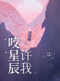 许我咬星辰结局