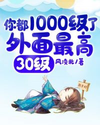 你都1000级了外面最高30级完结漫画