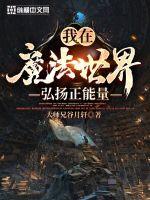 我在魔法世界开创互联网时代听123读