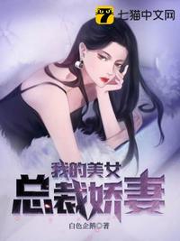 我的美女总裁俏佳人无弹窗