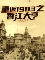 重返香港1993年小说