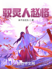 驭灵师小说全集